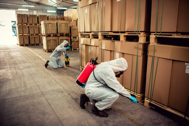 Reliable Duluth, WA Pest Control Solutions