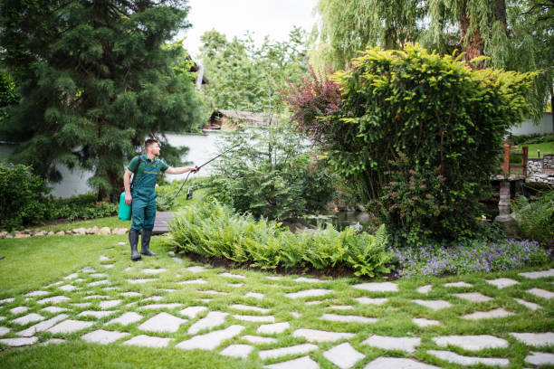 Best Wildlife Control Services  in Duluth, WA