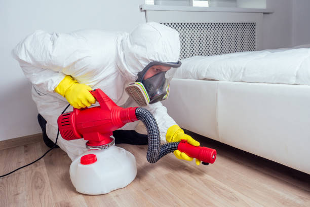 Best Pest Removal Services  in Duluth, WA