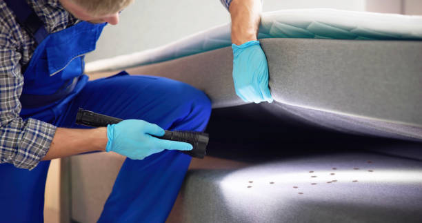 Best Best Pest Control Companies  in Duluth, WA
