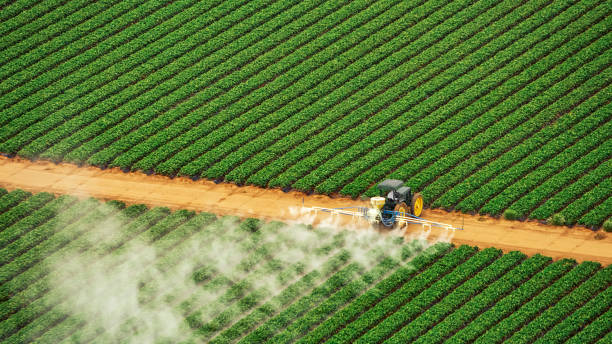Best Mosquito Control Services  in Duluth, WA