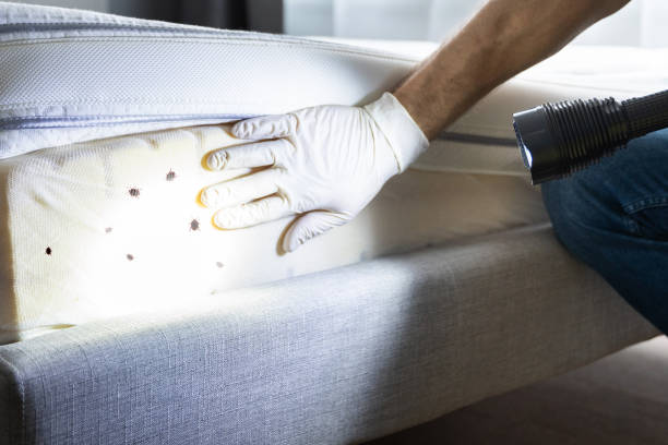 Best Emergency Pest Control  in Duluth, WA