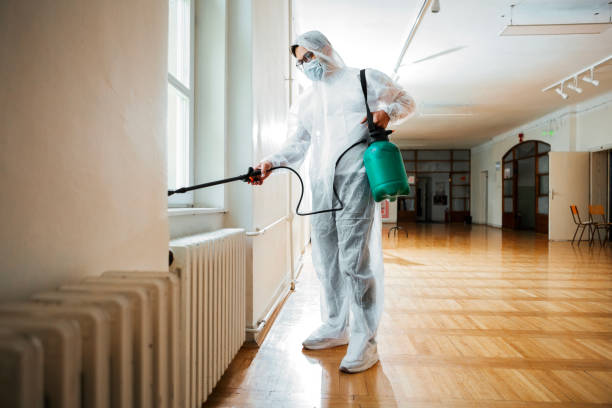Best Insect Control  in Duluth, WA