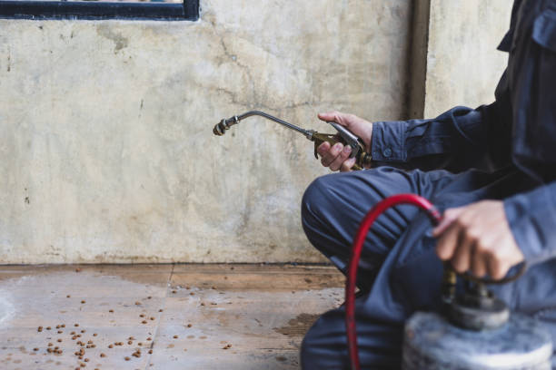 Best Pest Prevention Services  in Duluth, WA